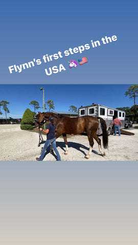 Flynn's first steps in the USA.