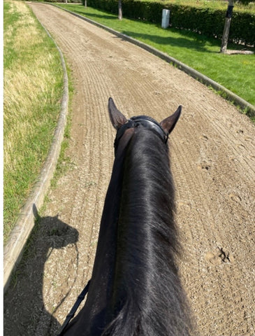 View from on top of a horse, looking down at their next while walking in an arena.