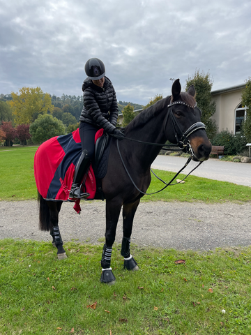 Hope Cooper on Chocolate, her horse, wearing MultiTeq Front and Hind Boots and Essential BellBoots.