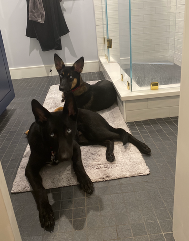 Two dogs laying on a bathroom floor.