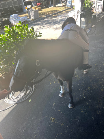 Mischa laying on her pony bareback.