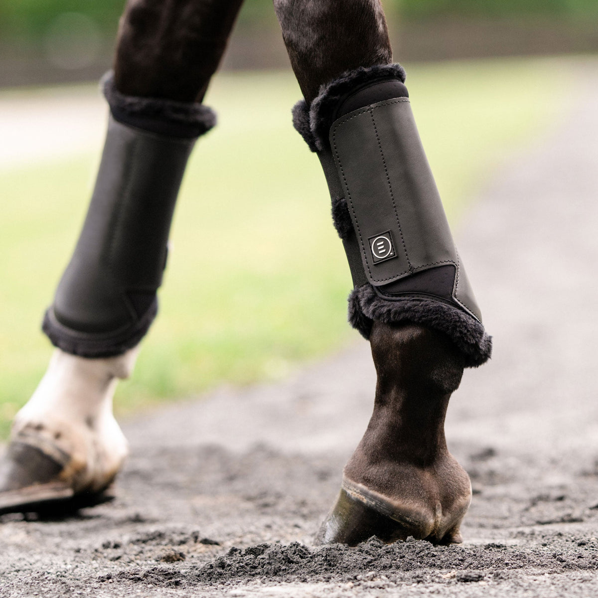 Essential® EveryDay™ Front Boot w/ Vegan SheepsWool™ - EquiFit