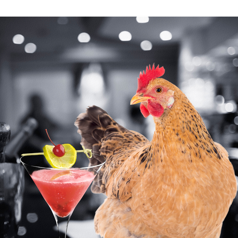 National Drinking with Chickens Day