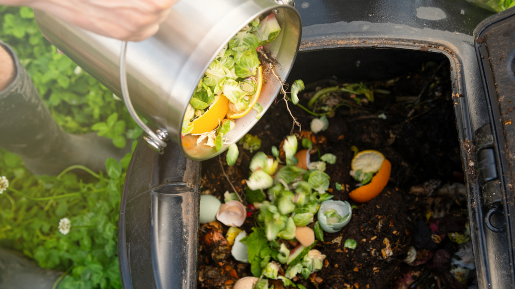 A guide to composting