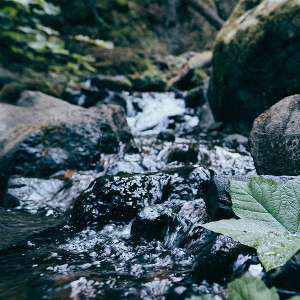 Japanese Mountain stream of ice cold pure water makes the best washi paper.