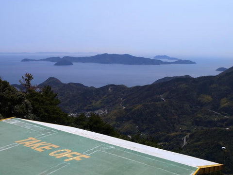 VIEW from top of 600m ridge line suo oshima japan hike