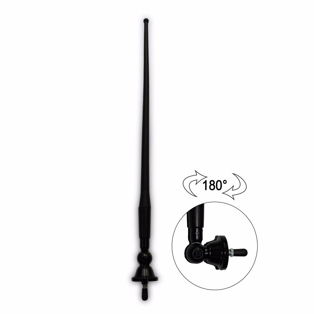 Amazon.es: amplificador antena coche