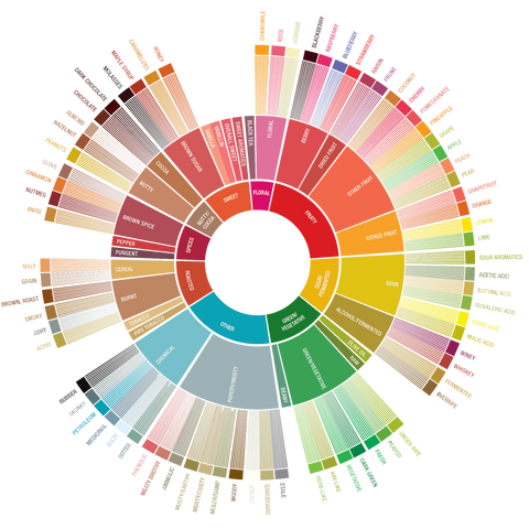 Coffee flavor wheel