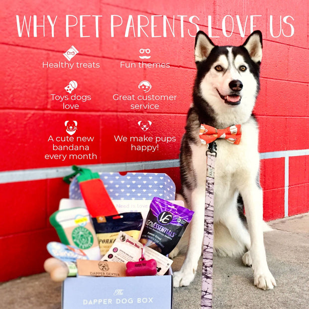 pet treat subscription