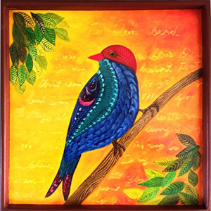 pajaro azul pico-pay