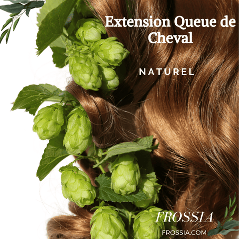 Extension Queue de Cheval Naturel | Frossia