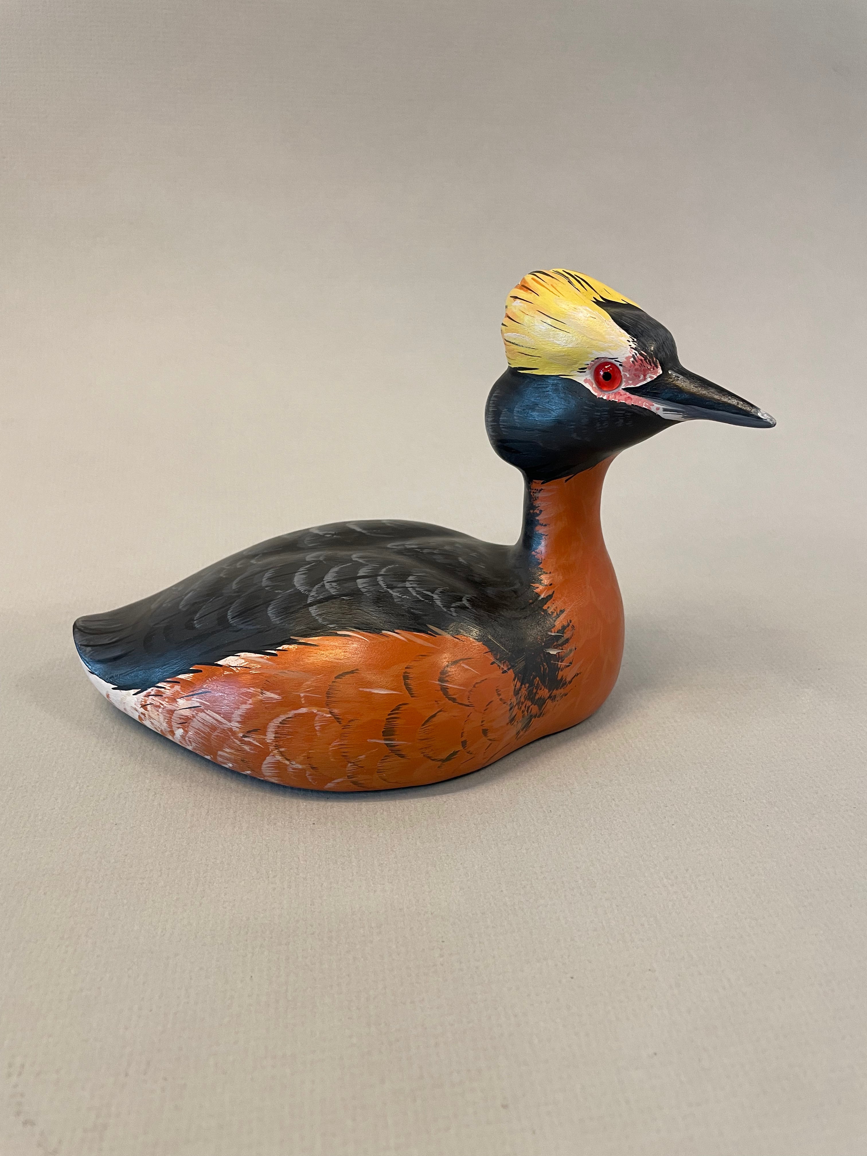 Horned Grebe