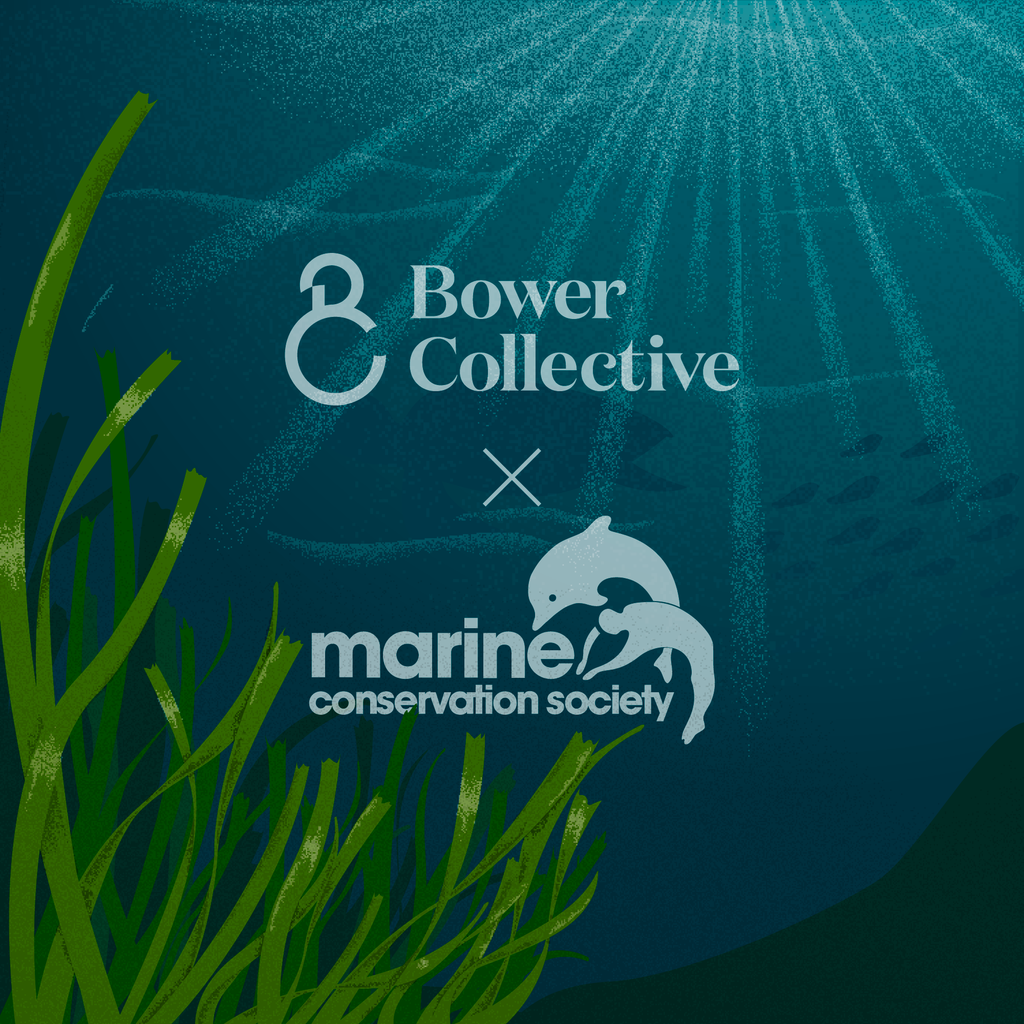 Our Partnership With The Marine Conservation Society Bower Collective - paper mario roblox bargain bin character codes