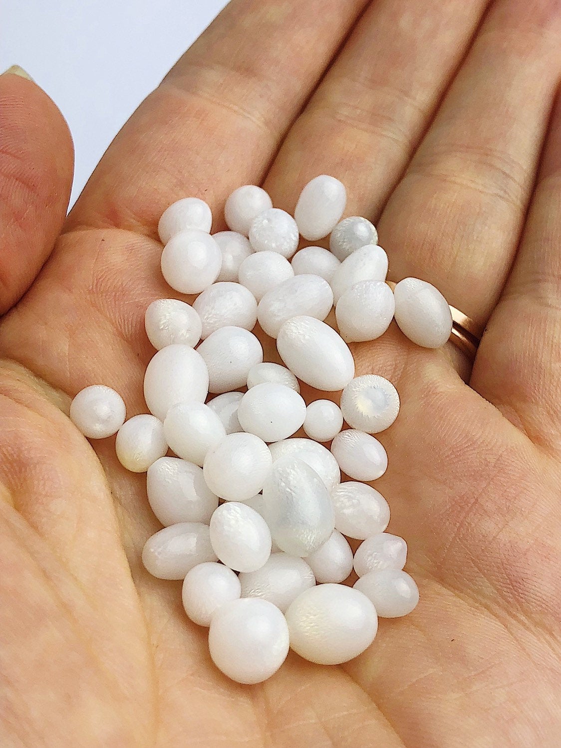  100% All Natural Tridacna Clam Pearls 