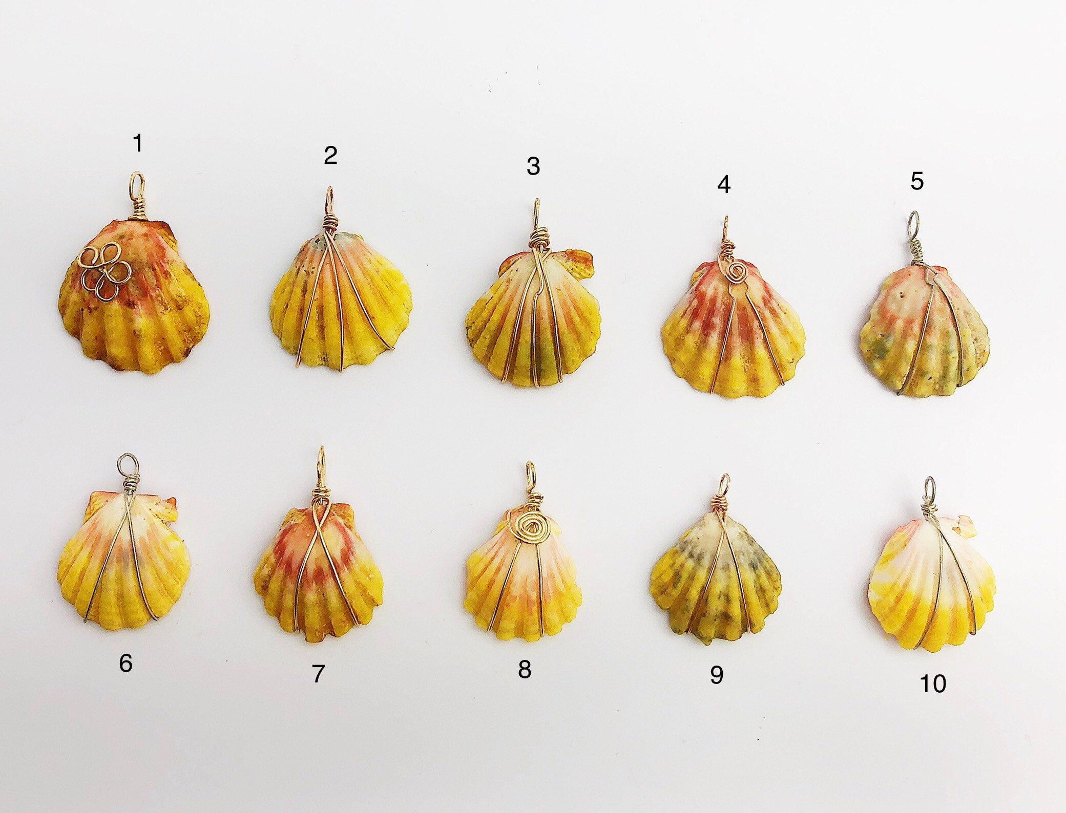  Sunrise Shell Wire Wrapped Pendants from Hawaii - Natural Color - Sunrise Shells - Sunnies (390 No. 1-10) 