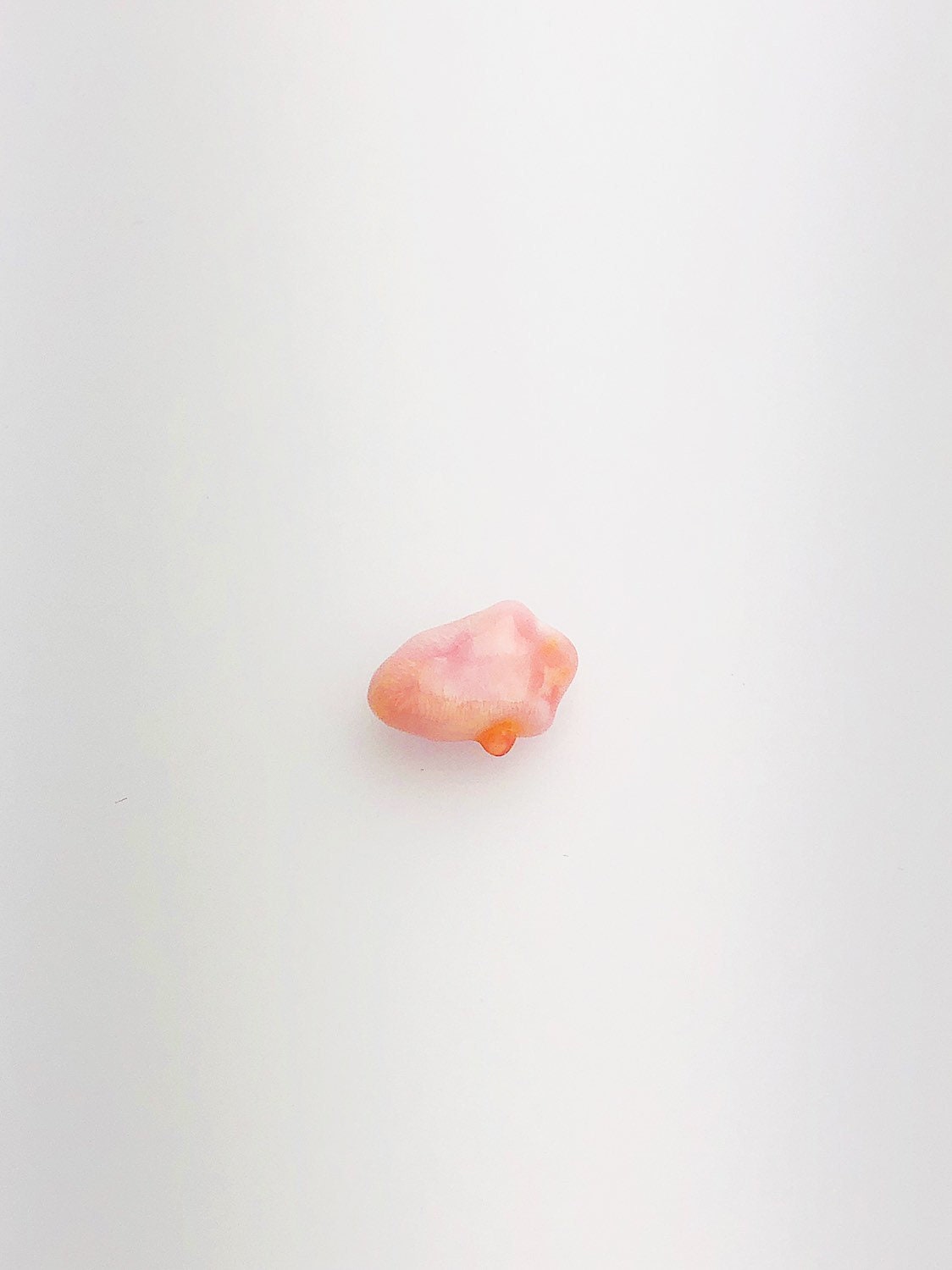  Conch Pearl Loose 8.9mm x 4.1mm No. 12 