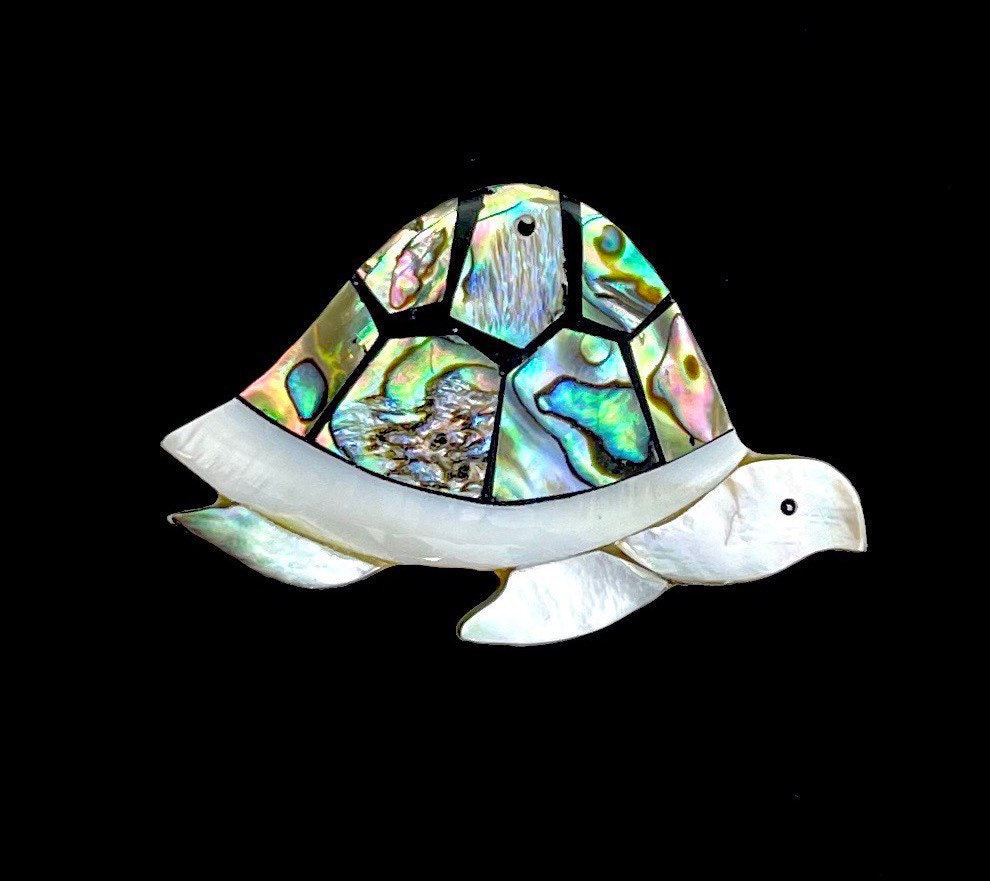  Abalone Turtle, Sku#M801 