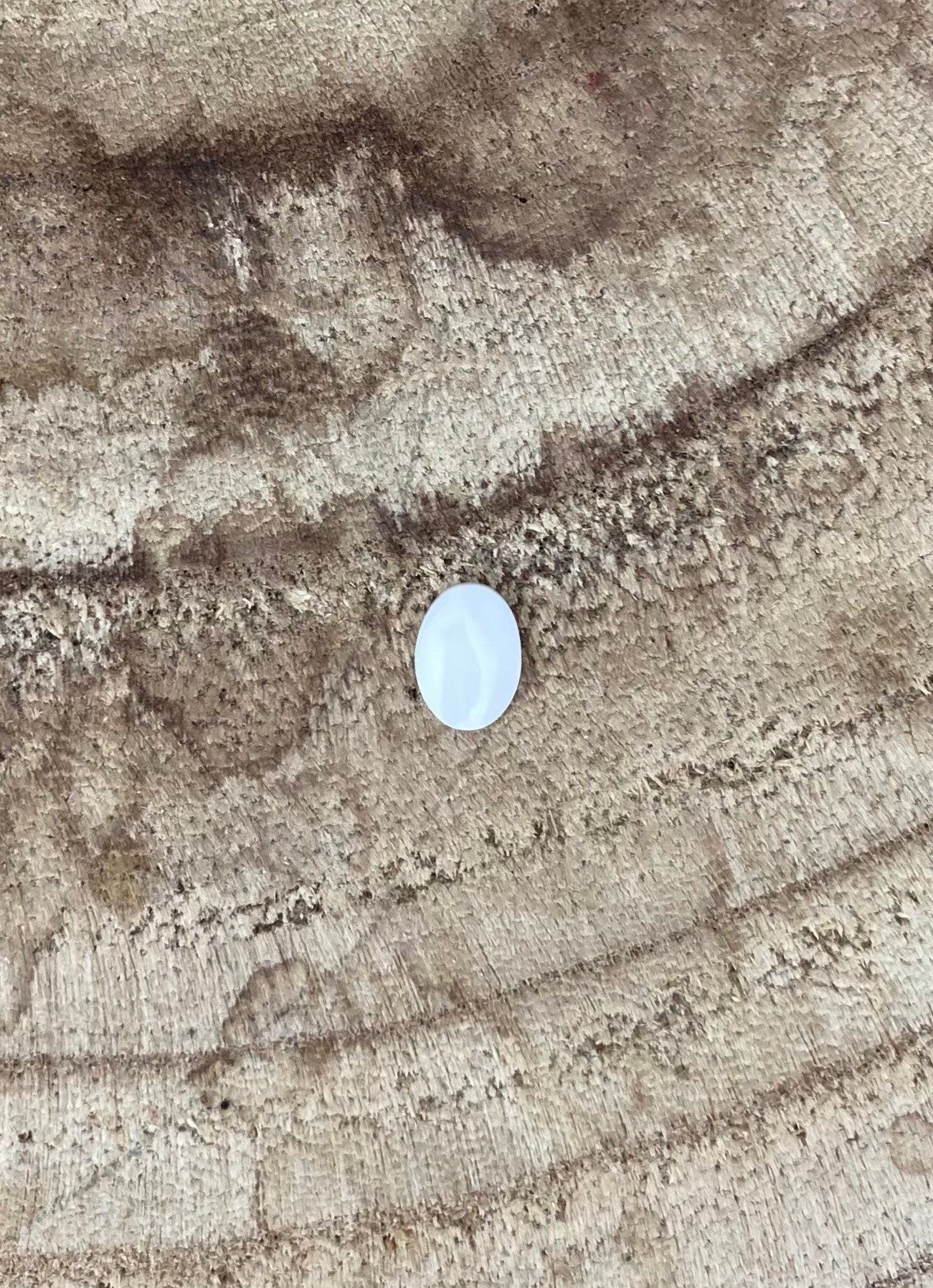  Oval Mother Of Pearl Shell, Sku#M2061 