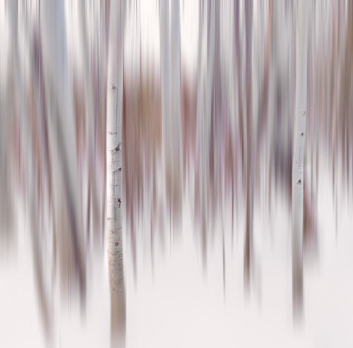 Aspen Impressions I