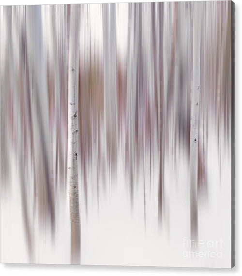 Aspen Impressions I