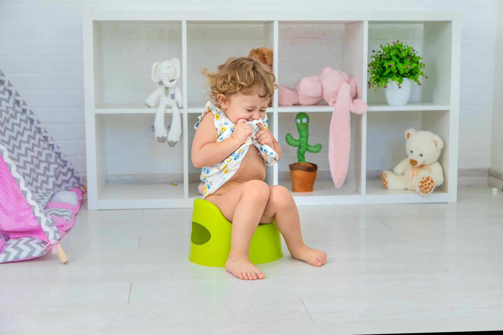 Toilet training – tips and suggestions