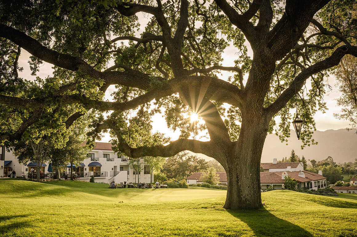 Ojai WellSoul Workshop