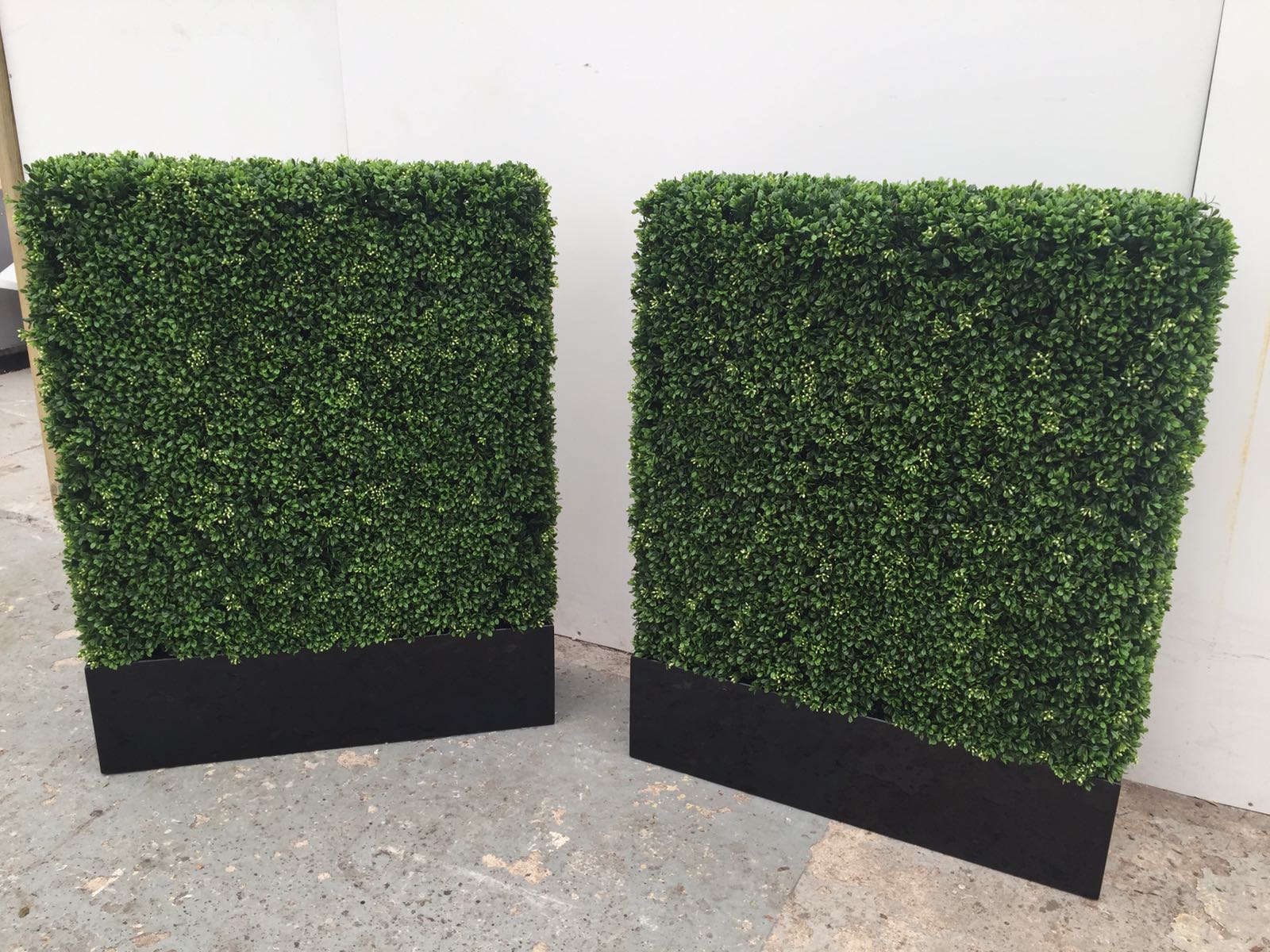 Buy Artificial Boxwood Matting Ascott