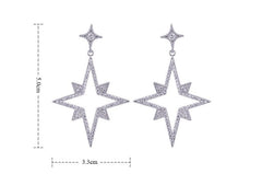 Drop Zirconia Star Earrings