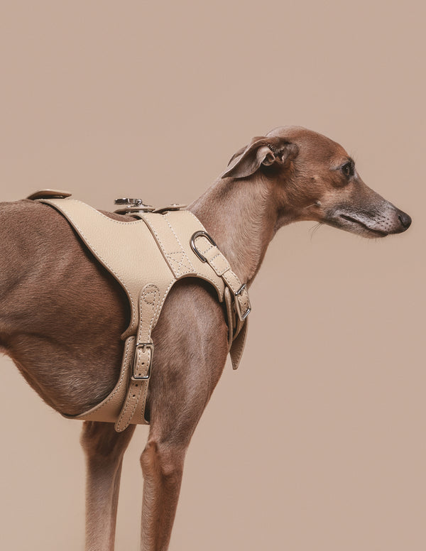 The Belgravia Luxury Dog Harness