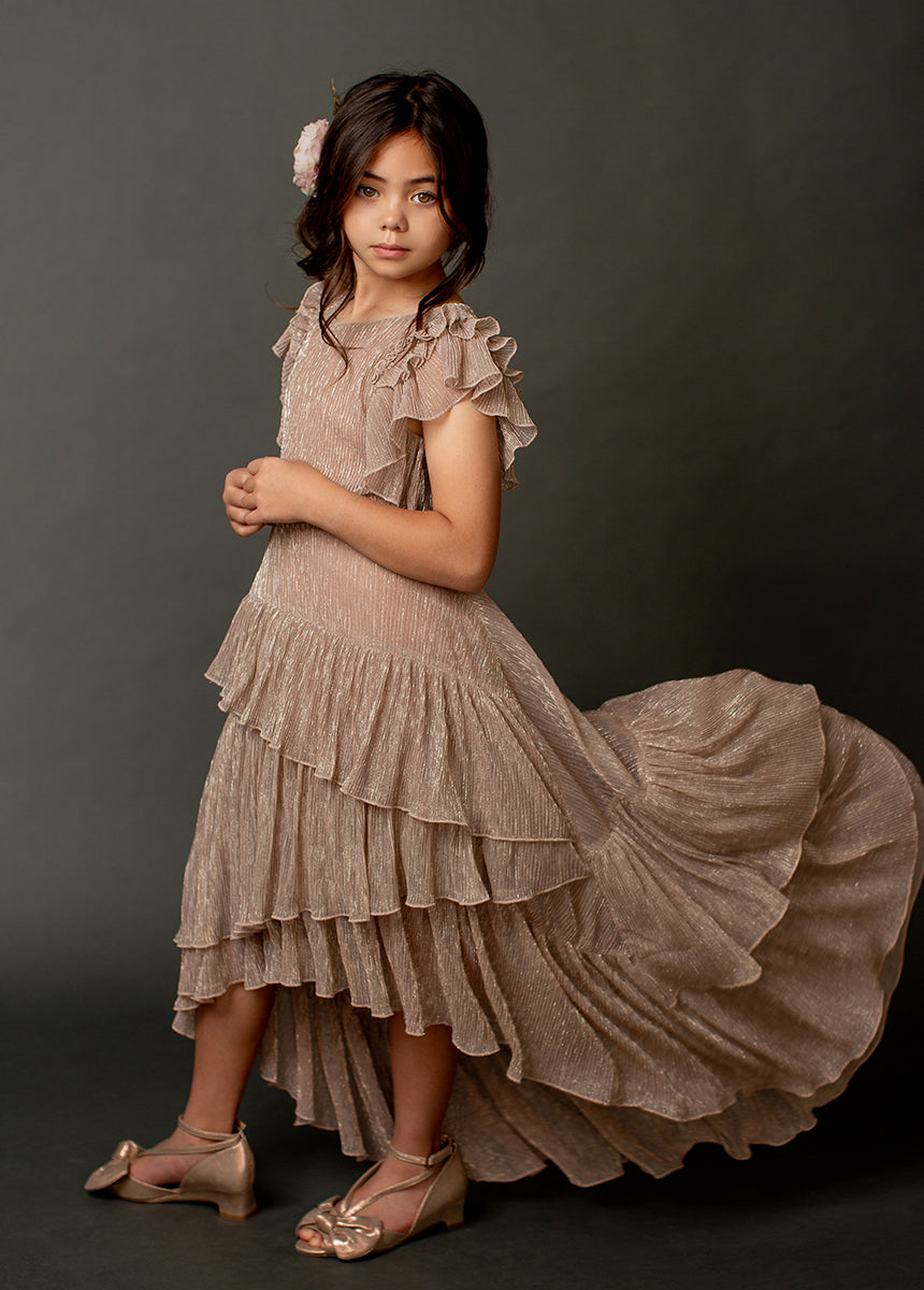Image of Angelina Dress in Rosegold