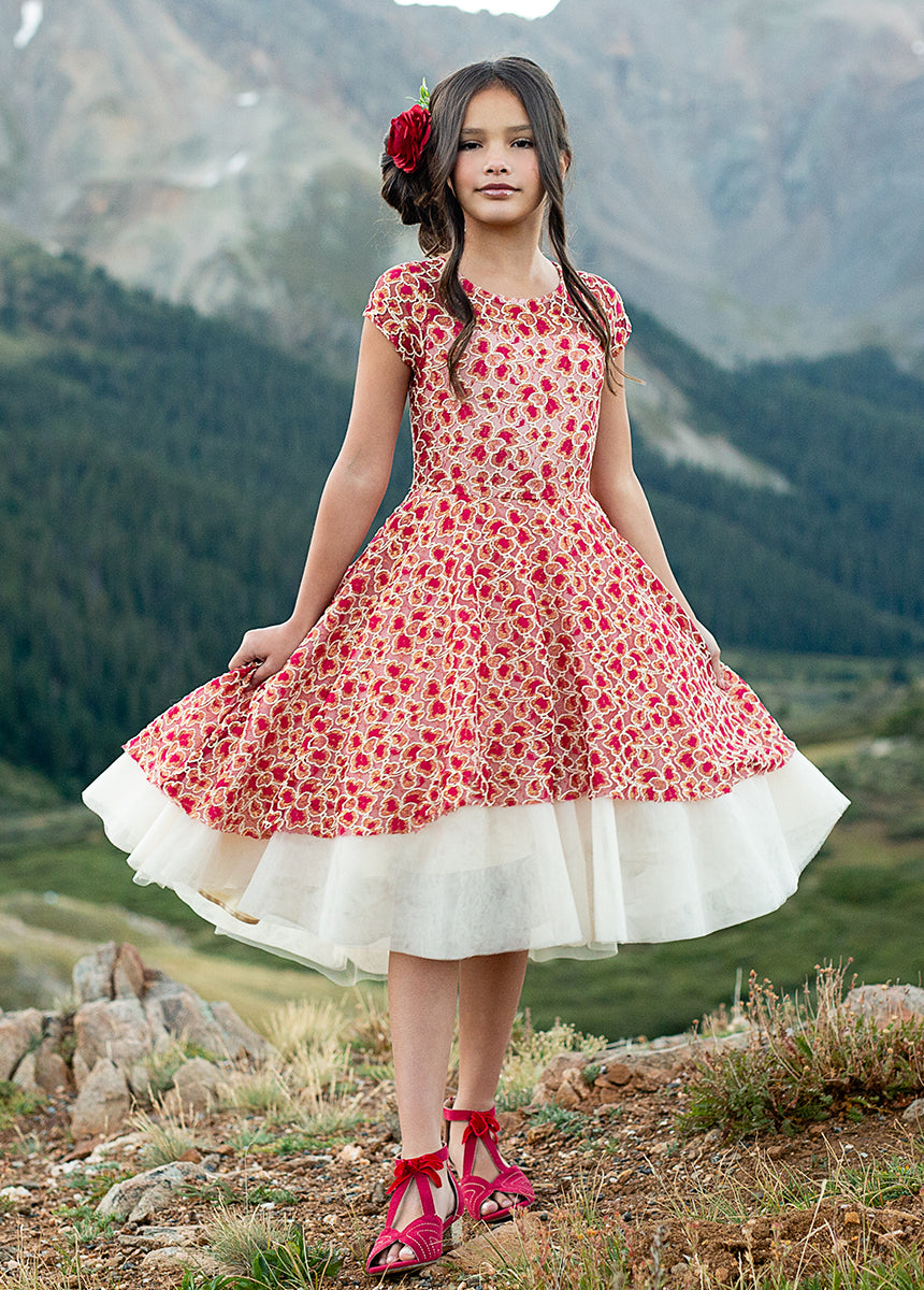 Image of Annalise Petticoat Dress in Scarlet Metallic