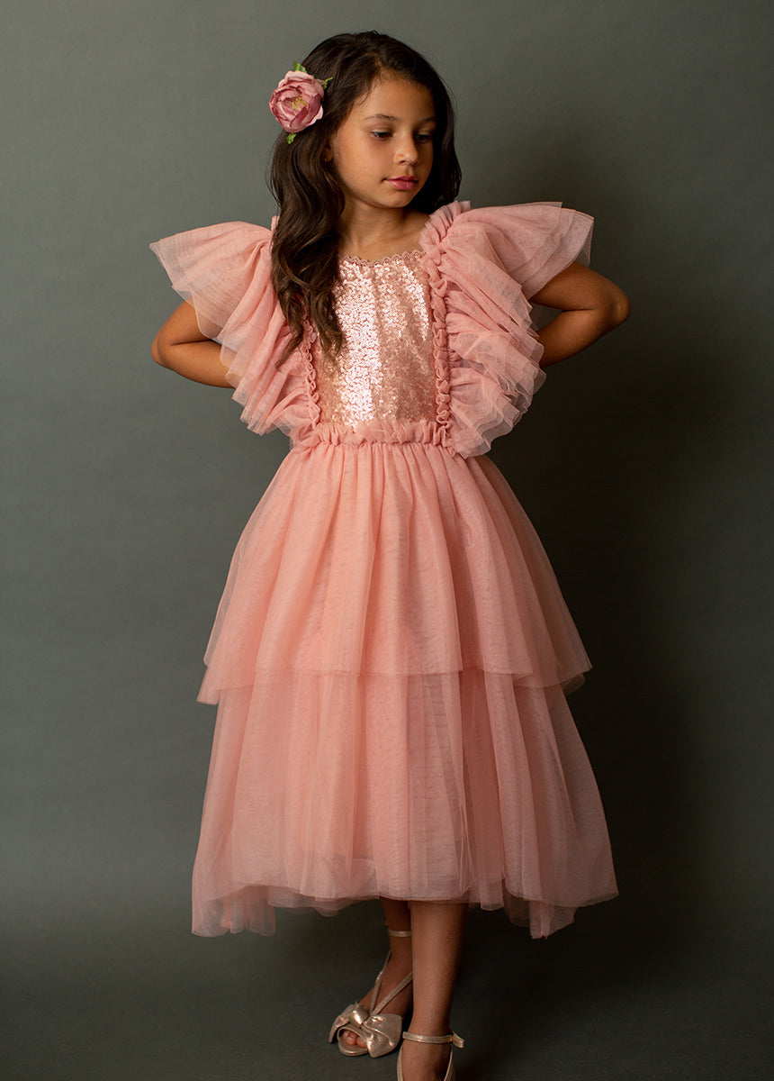 Image of Ayla Petticoat Dress in Rose Dawn