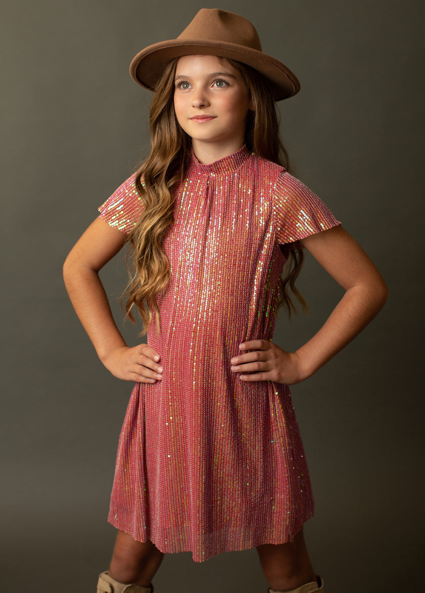 Image of Chele Dress in Mesa Rose