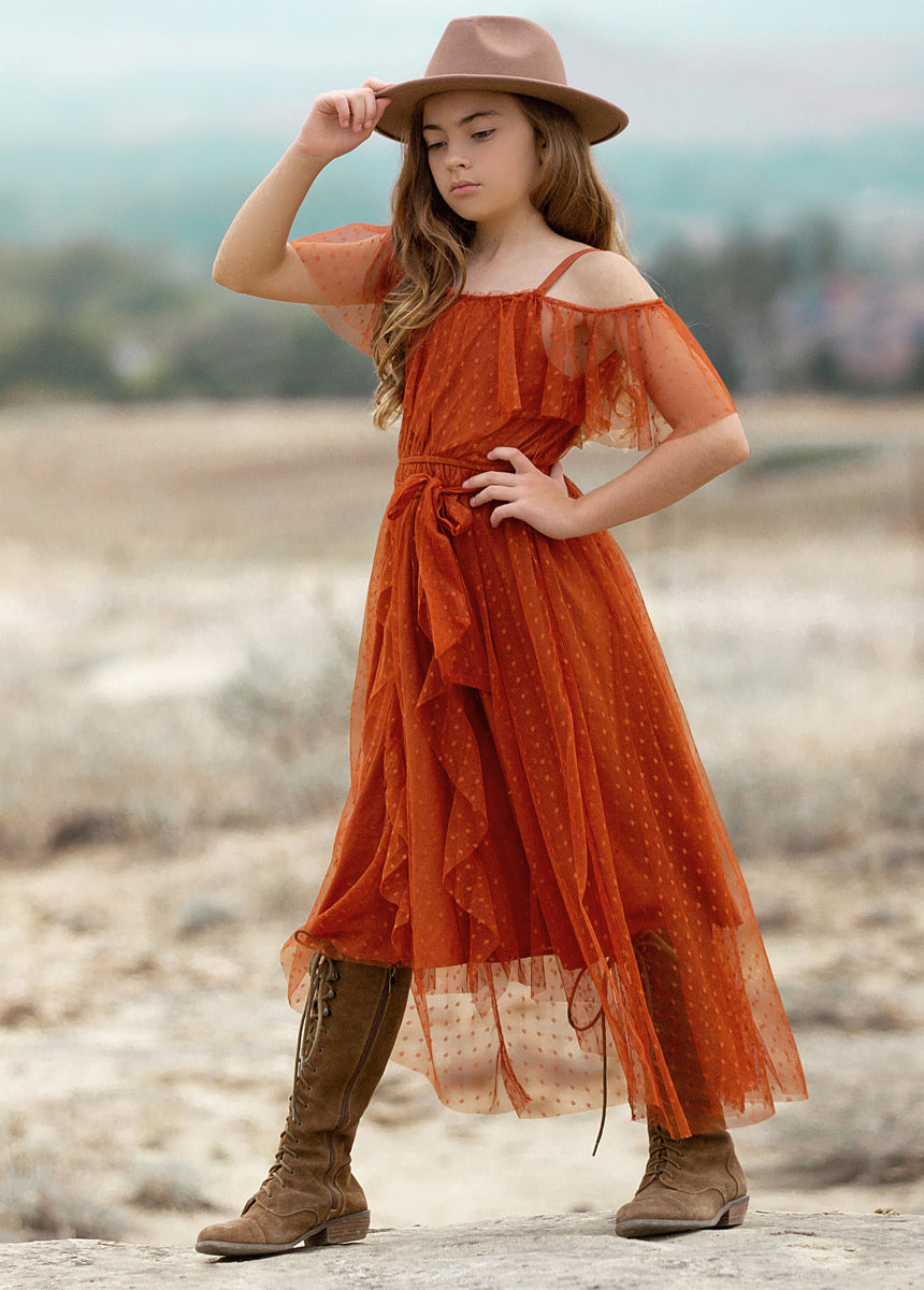 Image of Lauryl Dress in Rust