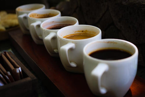 Tasting cups for coffee cupping in a row