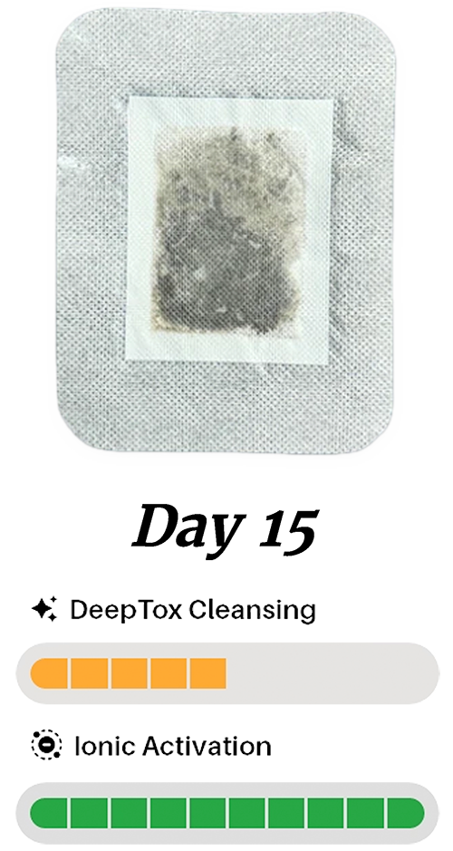 deeptox-stage-02.webp__PID:4dbf9b64-e3ff-4a1b-b775-89aa3509245e