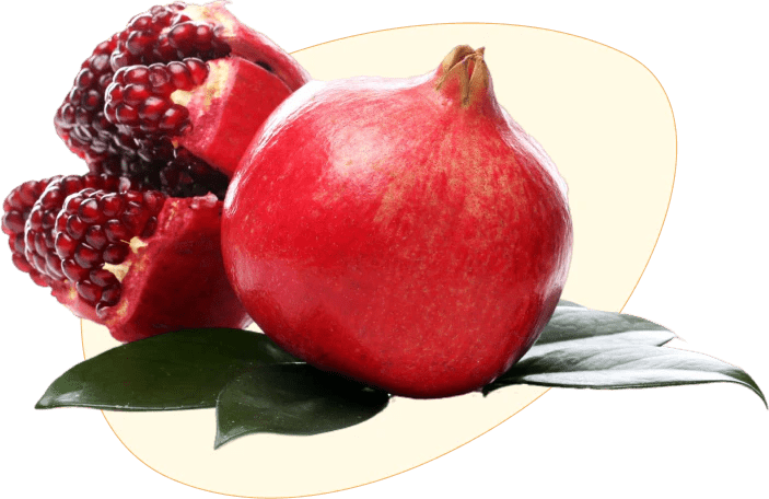 section08-img06.webp__PID:4ddffd1f-72fa-4a40-aa3a-0eeede693163