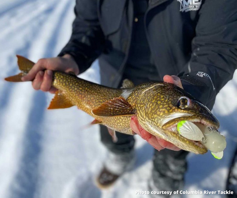 Ice Fishing –