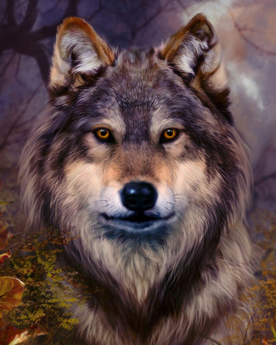 Numéro d'art - mini - Portrait d'un loup - Coffrets Peinture