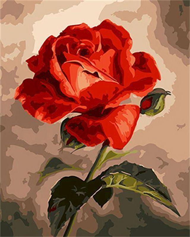 Peinture par numéros - Belle rose rouge – Figured'Art