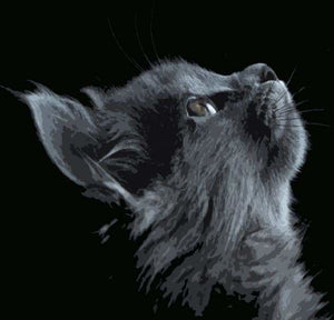 Peinture Par Numeros Chat Noir Et Gris Figured Art