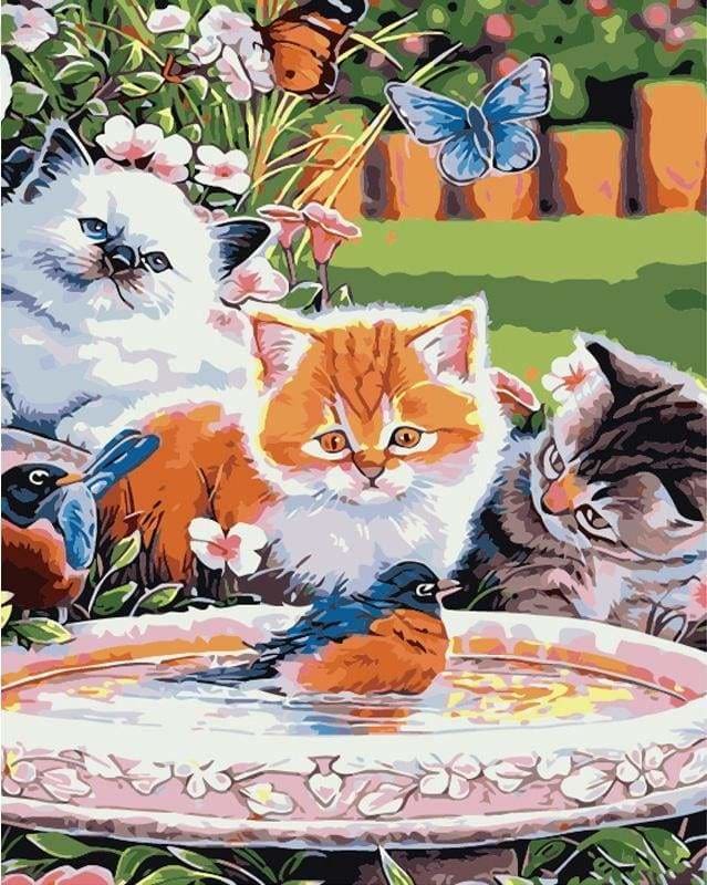 Peinture Par Numeros Chatons Regardant Les Oiseaux Figured Art