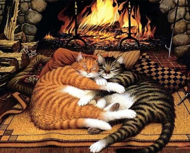 Peinture Par Numeros Chats Au Coin Du Feu Figured Art