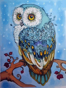 Peinture par numéros - Yeux de Hibou Oranges – Figured'Art