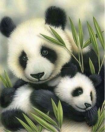 Peinture par numéros - Panda perché – Figured'Art