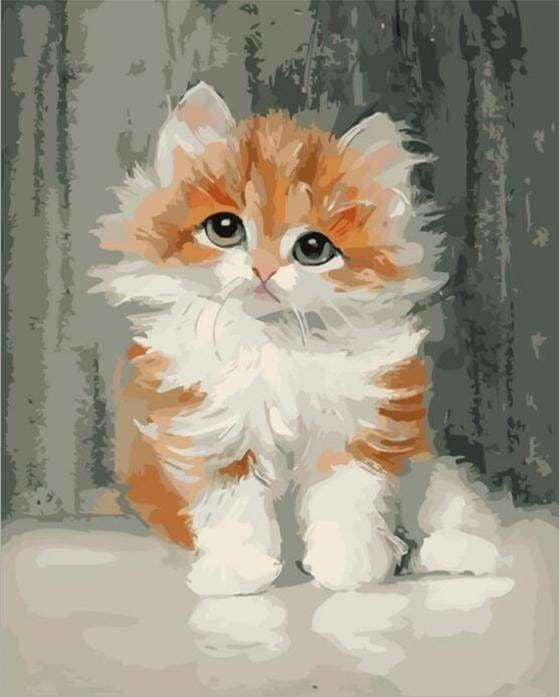 Peinture Par Numeros Mignon Petit Chat Figured Art