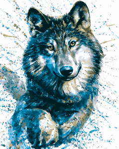 Numéro d'art - mini - Portrait d'un loup - Coffrets Peinture