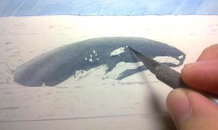 learn-to-draw-books-airbrush-aquatic-animals