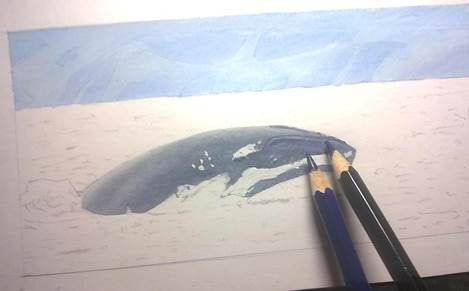 learn-to-draw-books-airbrush-aquatic-animals