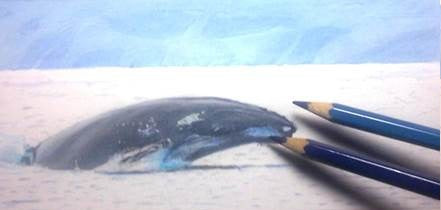 learn-to-draw-books-airbrush-aquatic-animals